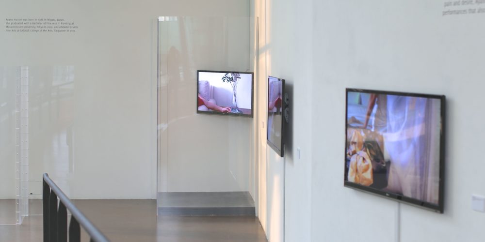 Intimate Strangers, installation