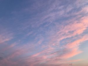 IMG_1768
