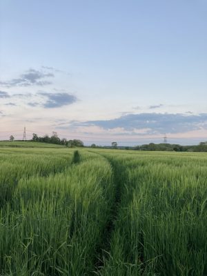 IMG_8204